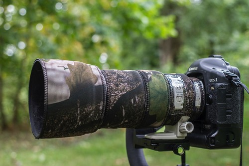 Canon 100 400 - canon, f4.5-5.6